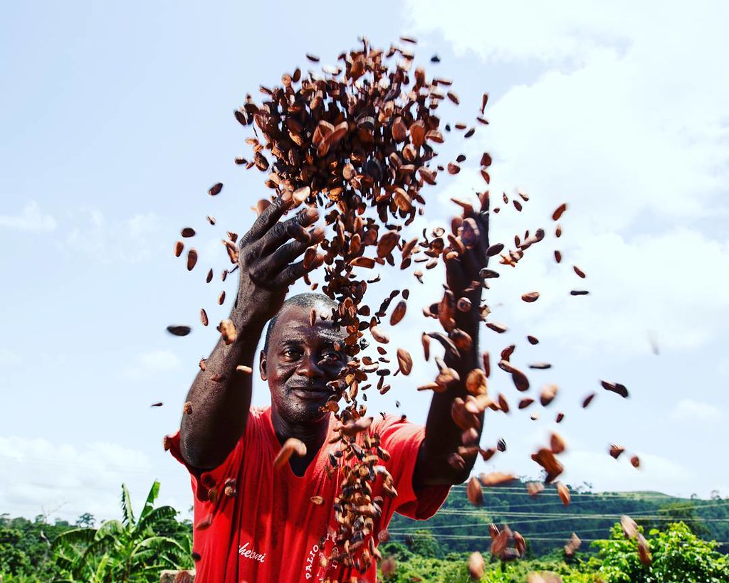 Cambiará el juego la nueva política de cacao y chocolate de Ghana