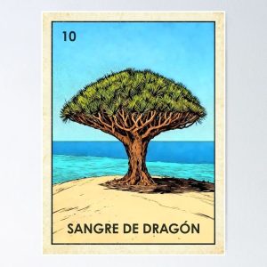 poster arbol drago dragon blood tree loteria mexicana