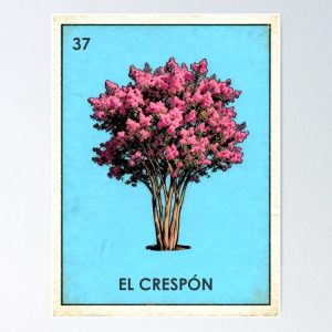 poster arbol jupiter crape myrtle loteria mexicana