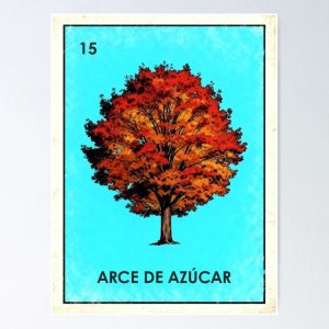 poster arce azucar sugar maple loteria mexicana