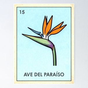 poster ave del paraiso bird paradise loteria mexicana