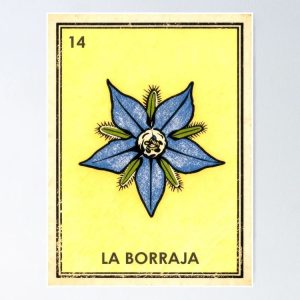 poster borraja borage starflower loteria mexicana
