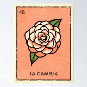 poster camelia camellia flower loteria mexicana