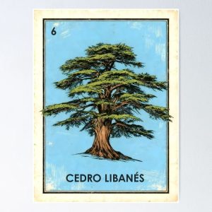 poster cedro del libano cedar loteria mexicana