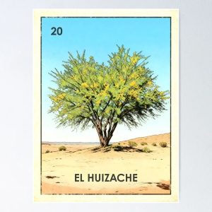 poster el huizache sweet acacia loteria mexicana