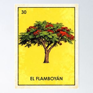 poster flamboyan royal poinciana loteria mexicana