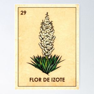 poster flor izote yucca flower loteria mexicana