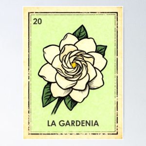 poster gardenia white flower loteria mexicana