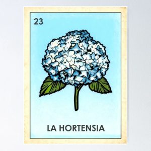 poster hortensia hydrangea blue flower loteria mexicana
