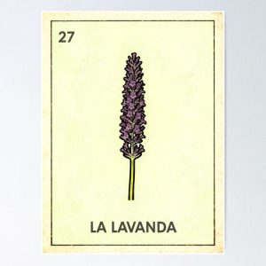 poster lavanda lavender flower loteria mexicana
