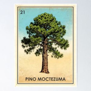 poster pino ocote montezuma pine loteria mexicana