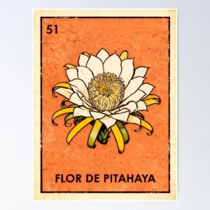 poster pitaya dragon fruit flower loteria mexicana
