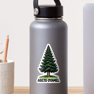 sticker pegatina oyamel sacred fir cartoon retro 80s