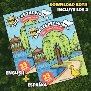 libro colorear arboles mundo bilingue portada